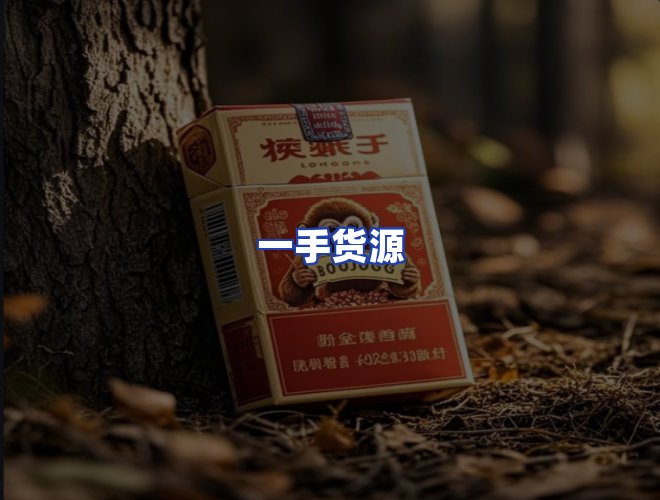 专业团队